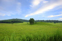 ��ԭ��������