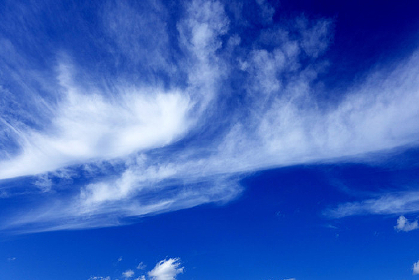 ��翵��Ʋ�