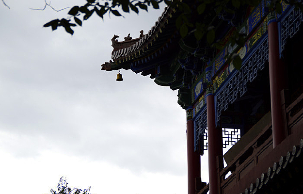 �Ž�������