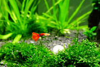 ��ȸ����ˮ�ݸ��л��������