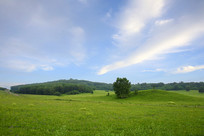 �����µĲ�ԭ����