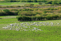 �����ݵ��ϵ���Ⱥ