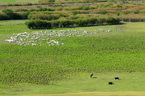  �����ݵ���Ⱥ