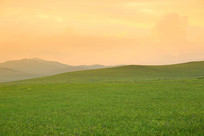 ĺɫ�еĲ�ԭɽ��