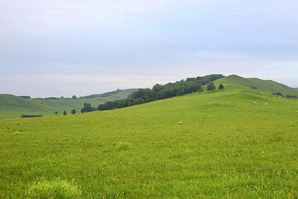 ����Ĳ�ԭɽ��