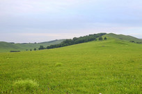 ����Ĳ�ԭɽ��