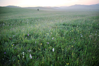 ����ʱ�Ĳ�ԭ���