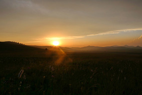 ������ɽ�Ļƻ�����