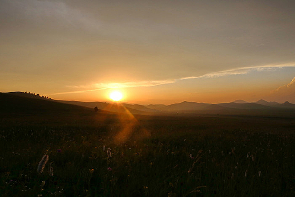 ������ɽ�Ļƻ�����