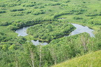 ����ʪ�����㵺