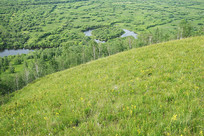 ����ʪ����̬���