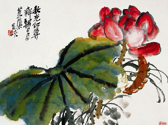 ���˶�ɻ�ͼ