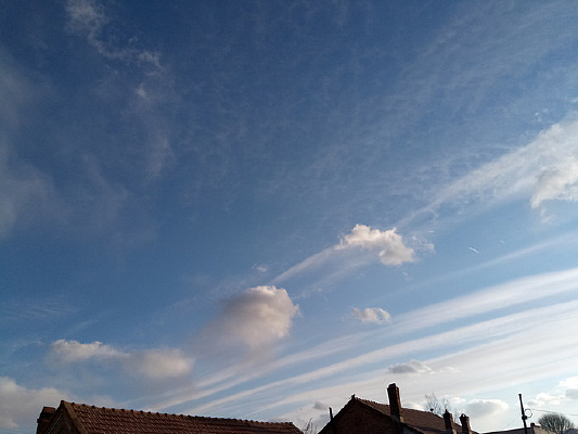 һ���ŵ���