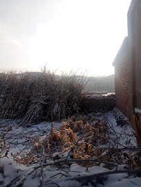 ǽ�ϵ�����