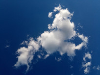 ���������Ǹ���