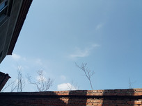 ������֦