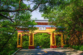 ǧɽ��ʽɽ���빫·��ľ