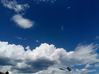 ε������µİ���