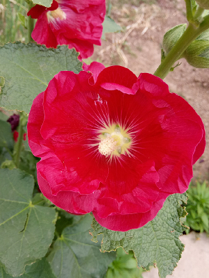 ԲԲ�Ĵ��񼾻�