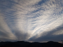 ���ŵ���