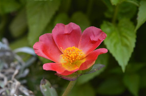 �컨̫����