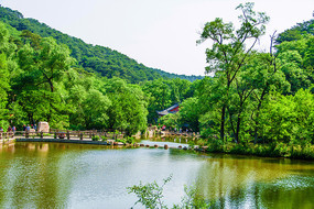 ǧɽ��̶��ȸ���