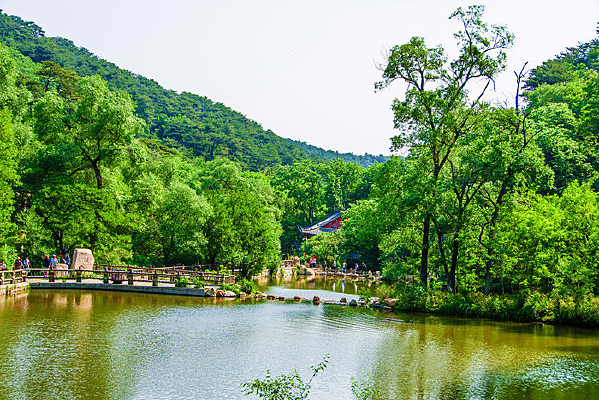 ǧɽ��̶��ȸ���