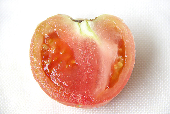 �п�������