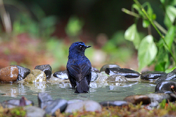 Ư���Ĵ����l