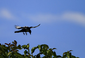 Ư��չ���ϲȵ