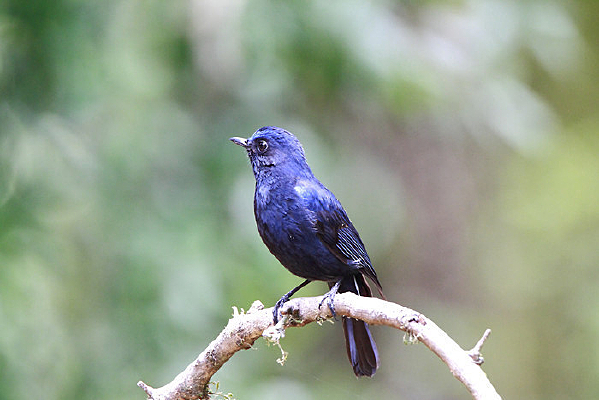 ��ë���ʵĴ����l