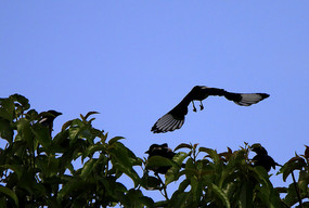 չ����欵�ϲȵ