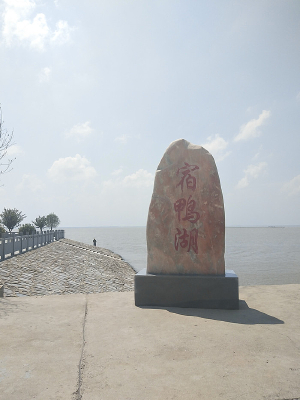 ������Ѽ������ʯ��Ӱ