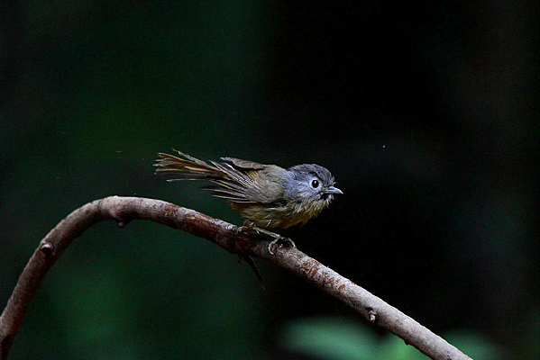 ë������Ļҿ�ȸ��