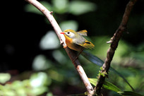 �������εĺ�����˼��