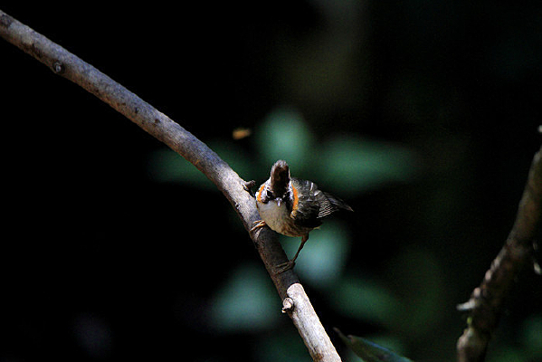 Ư���Ļƾ�����