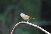 Ư���Ļҿ�ȸ��