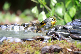 ˮ�����ɵĺ�����˼��