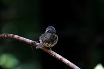 �趯�Ļҿ�ȸ��