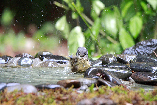 �趯Ư���Ļҿ�ȸ��