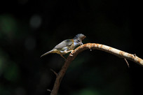 ���еĻƾ�����