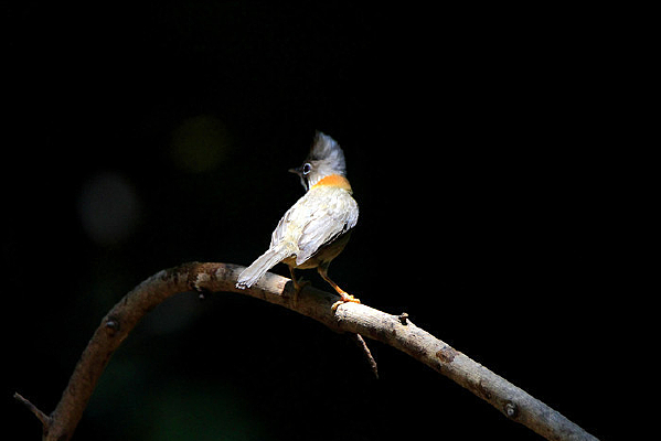 ��ë�����Ļƾ�����