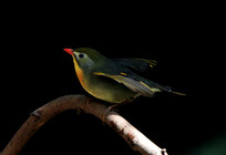 չ�������ĺ�����˼��