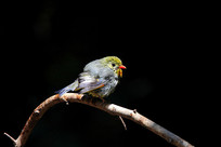 ֦��վ���ĺ�����˼��