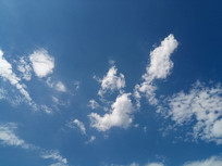 ��ɢ����