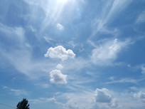 ������ͼƬ