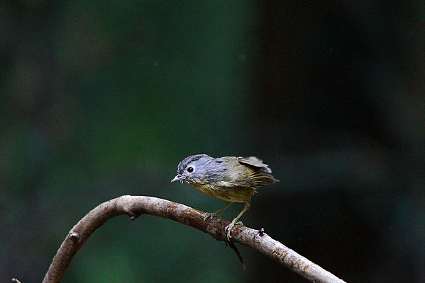 ë������Ļҿ�ȸ��