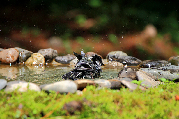 ë���鵯���̱�ɽȸ