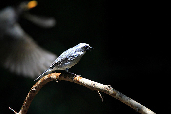 ���еĻ����S