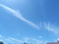 ����е�����